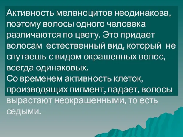 Активность меланоцитов неодинакова, поэтому волосы одного человека различаются по цвету. Это придает