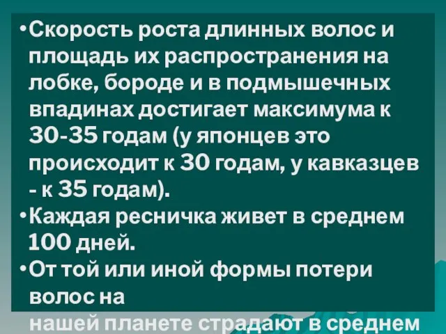 Скорость роста длинных волос и площадь их распространения на лобке, бороде и