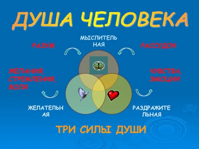 ДУША ЧЕЛОВЕКА ТРИ СИЛЫ ДУШИ РАЗУМ РАССУДОК ЖЕЛАНИЯ, СТРЕМЛЕНИЯ, ВОЛЯ ЧУВСТВА, ЭМОЦИИ