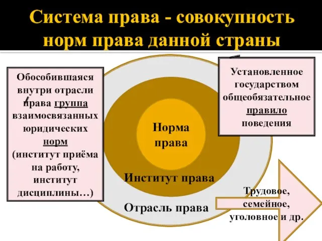 Система права - совокупность норм права данной страны Норма права Отрасль права