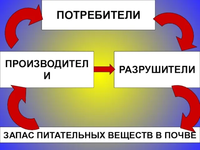 ПРОИЗВОДИТЕЛИ ПОТРЕБИТЕЛИ РАЗРУШИТЕЛИ ЗАПАС ПИТАТЕЛЬНЫХ ВЕЩЕСТВ В ПОЧВЕ