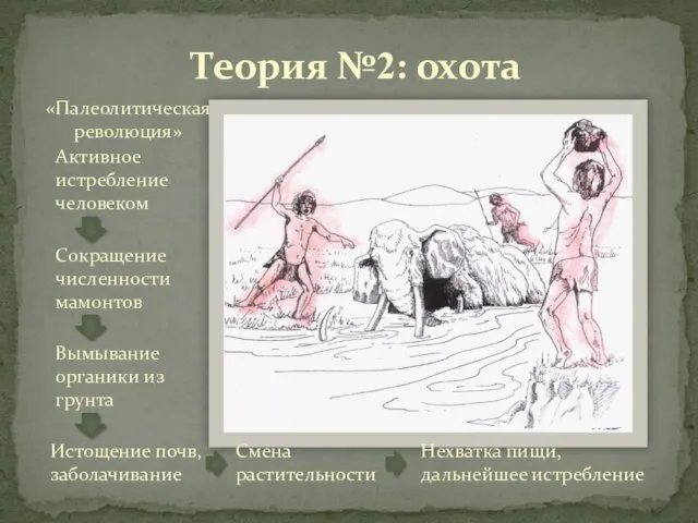 Теория №2: охота Активное истребление человеком Сокращение численности мамонтов Вымывание органики из