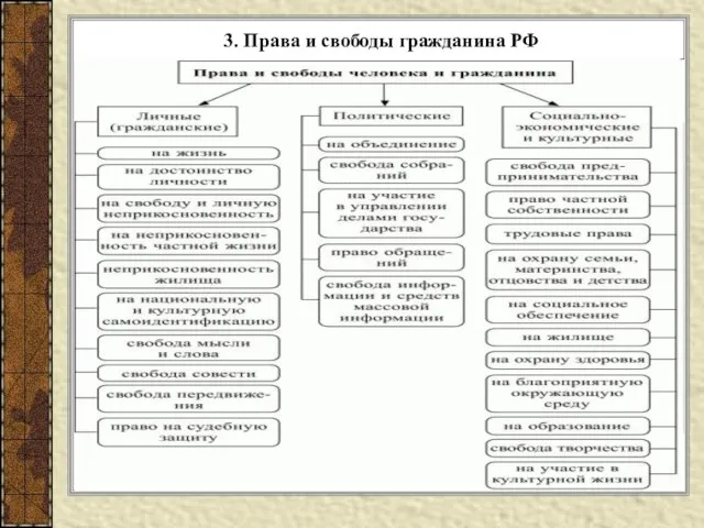 3. Права и свободы гражданина РФ