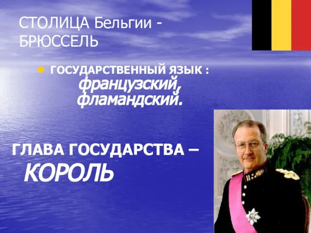 СТОЛИЦА Бельгии - БРЮССЕЛЬ ГОСУДАРСТВЕННЫЙ ЯЗЫК : французский, фламандский. ГЛАВА ГОСУДАРСТВА – КОРОЛЬ