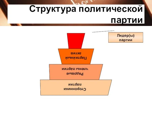 Структура политической партии Лидер(ы) партии