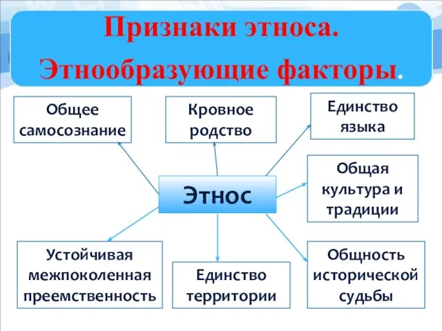 Этнос Единство территории Кровное родство Общность исторической судьбы Общая культура и традиции