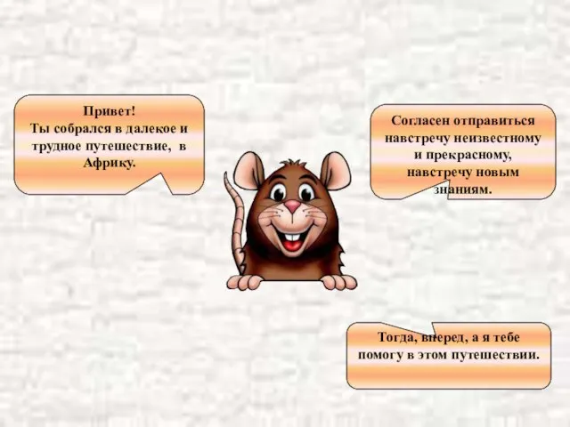 Привет! Ты собрался в далекое и трудное путешествие, в Африку. Согласен отправиться