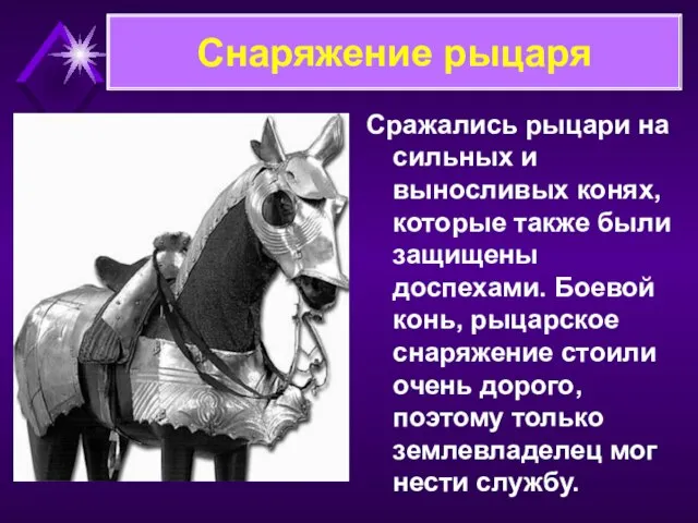 Сражались рыцари на сильных и выносливых конях, которые также были защищены доспехами.
