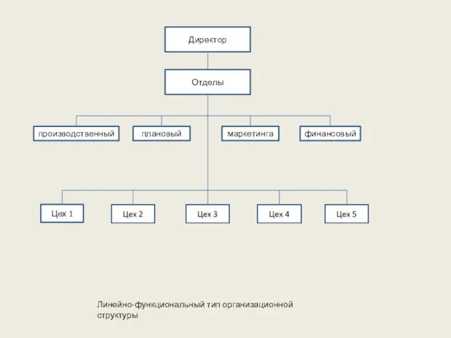 Директор Отделы производственный плановый маркетинга финансовый Цех 1 Линейно-функциональный тип организационной структуры