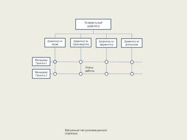 Матричный тип организационной структуры