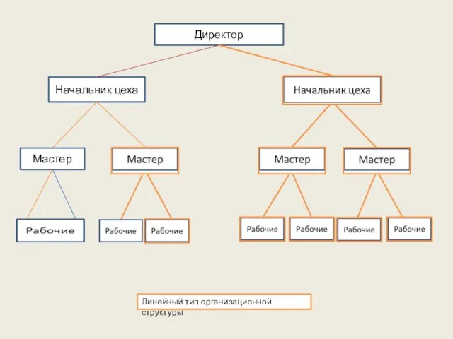Директор Начальник цеха Мастер Линейный тип организационной структуры
