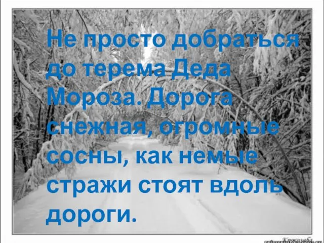 Не просто добраться до терема Деда Мороза. Дорога снежная, огромные сосны, как