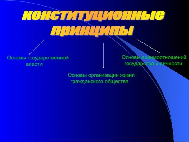 конституционные принципы Основы государственной власти Основы взаимоотношений государства и личности Основы организации жизни гражданского общества