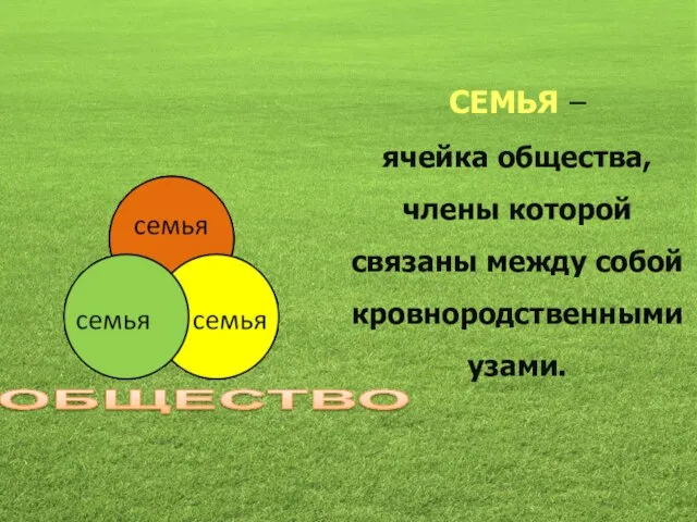 СЕМЬЯ – ячейка общества, члены которой связаны между собой кровнородственными узами. ОБЩЕСТВО