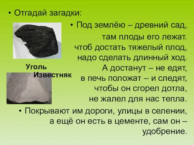 Отгадай загадки: Под землёю – древний сад, там плоды его лежат. чтоб