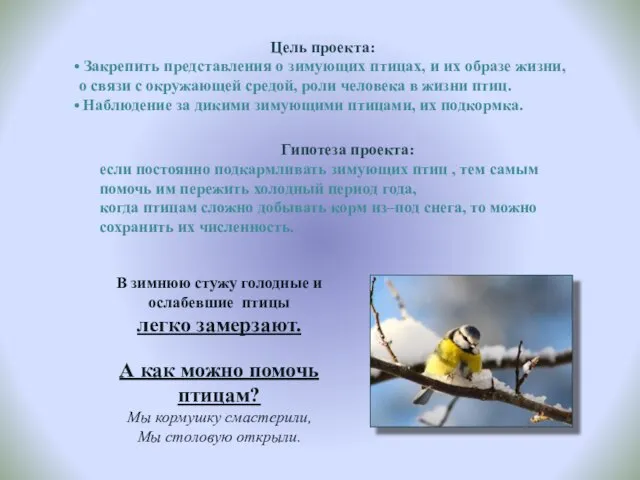 В зимнюю стужу голодные и ослабевшие птицы легко замерзают. А как можно