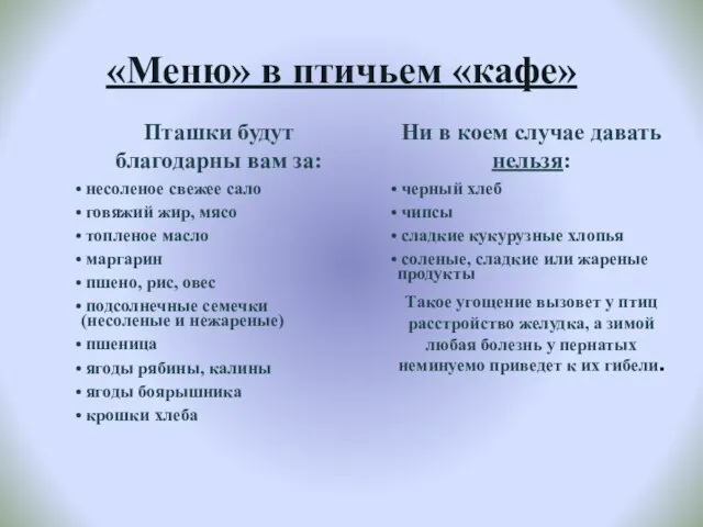 «Меню» в птичьем «кафе» Пташки будут благодарны вам за: несоленое свежее сало