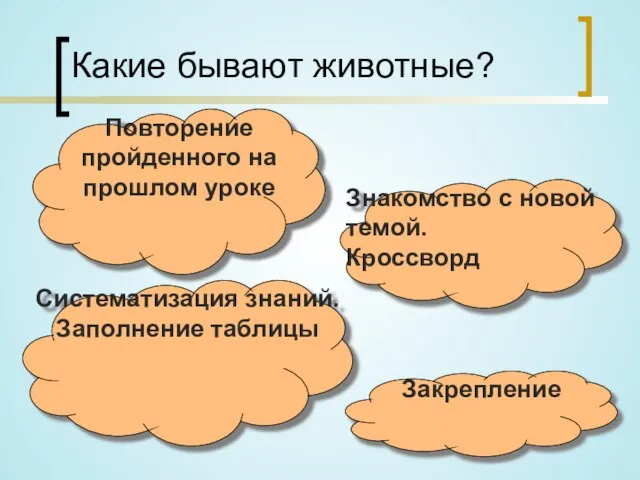 Какие бывают животные? Повторение пройденного на прошлом уроке Знакомство с новой темой.