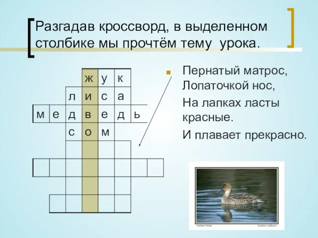 Разгадав кроссворд, в выделенном столбике мы прочтём тему урока. Пернатый матрос, Лопаточкой