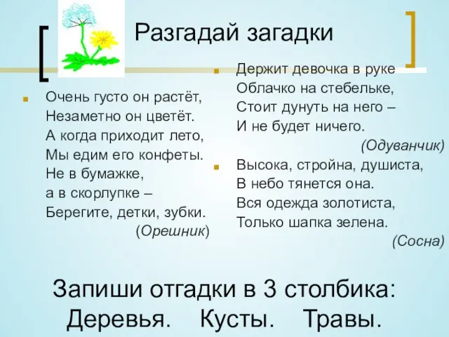 Разгадай загадки Очень густо он растёт, Незаметно он цветёт. А когда приходит