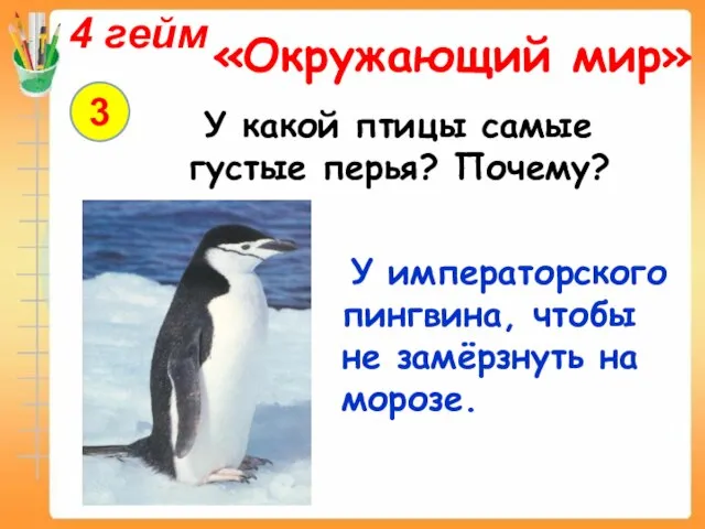 4 гейм «Окружающий мир» 3 У какой птицы самые густые перья? Почему?