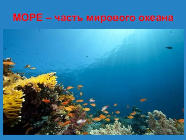 МОРЕ – часть мирового океана