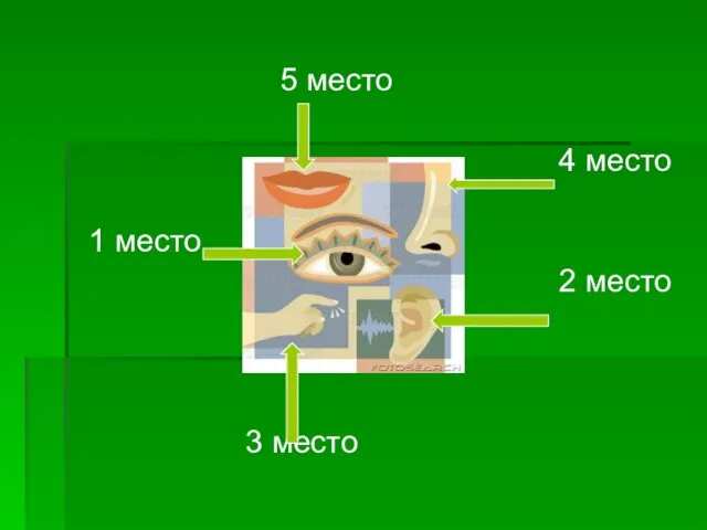 5 место 4 место 1 место 2 место 3 место