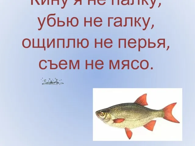 Кину я не палку, убью не галку, ощиплю не перья, съем не мясо.