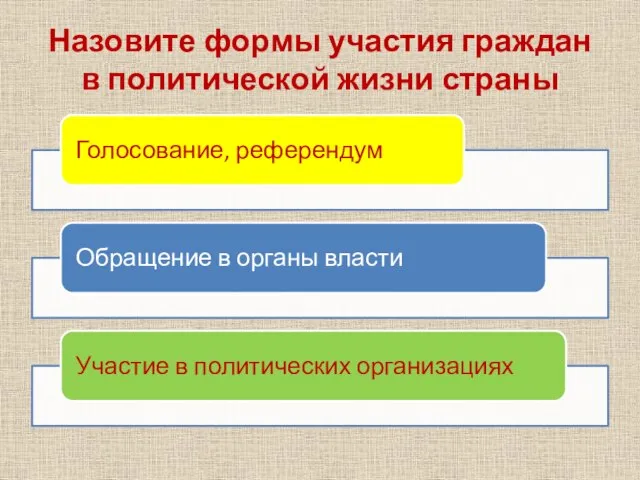 Назовите формы участия граждан в политической жизни страны