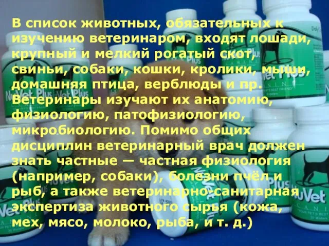 В список животных, обязательных к изучению ветеринаром, входят лошади, крупный и мелкий