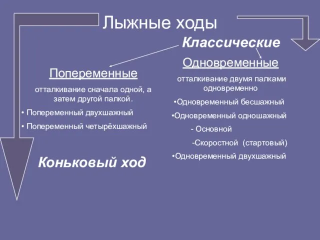 Лыжные ходы Попеременные отталкивание сначала одной, а затем другой палкой. Попеременный двухшажный