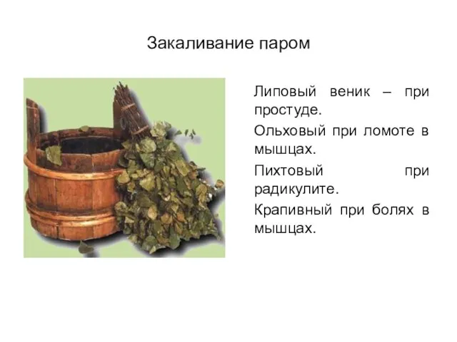 Закаливание паром Липовый веник – при простуде. Ольховый при ломоте в мышцах.