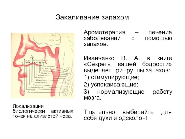 Закаливание запахом Аромотерапия – лечение заболеваний с помощью запахов. Иванченко В. А.