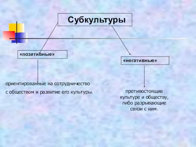 Субкультуры противостоящие культуре и обществу, либо разрывающие связи с ним. «позитивные» «негативные»