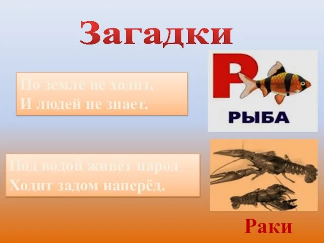 Загадки Под водой живёт народ Ходит задом наперёд. По земле не ходит,