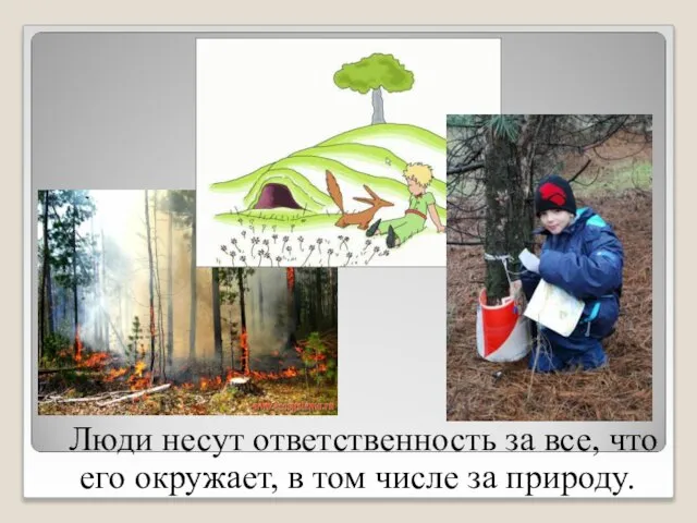 Люди несут ответственность за все, что его окружает, в том числе за природу.