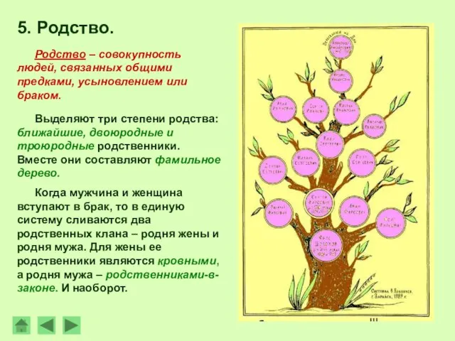 5. Родство. Выделяют три степени родства: ближайшие, двоюродные и троюродные родственники. Вместе