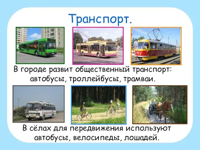 Транспорт. В городе развит общественный транспорт: автобусы, троллейбусы, трамваи. В сёлах для