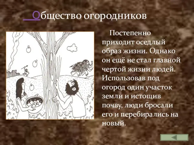 Общество огородников Постепенно приходит оседлый образ жизни. Однако он ещё не стал