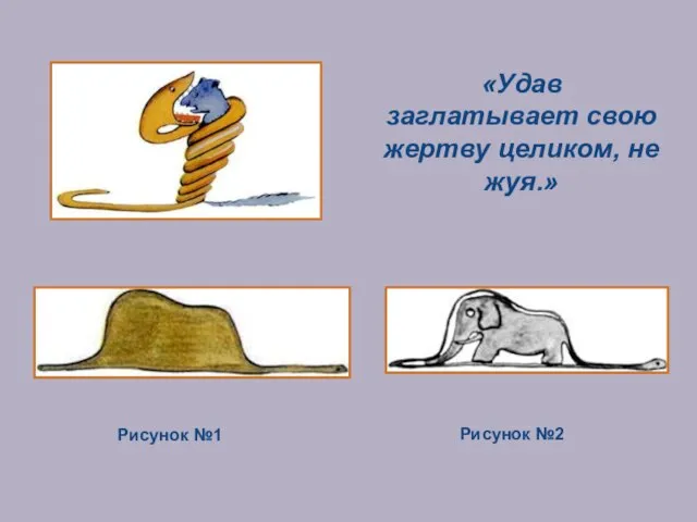 «Удав заглатывает свою жертву целиком, не жуя.» Рисунок №1 Рисунок №2