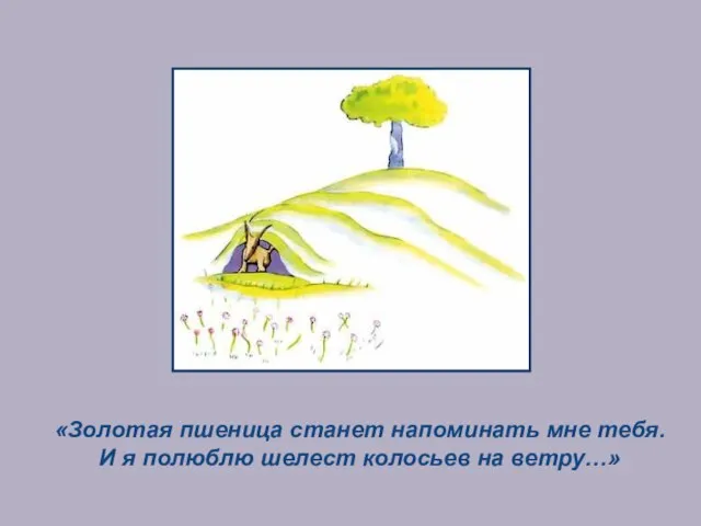 «Золотая пшеница станет напоминать мне тебя. И я полюблю шелест колосьев на ветру…»