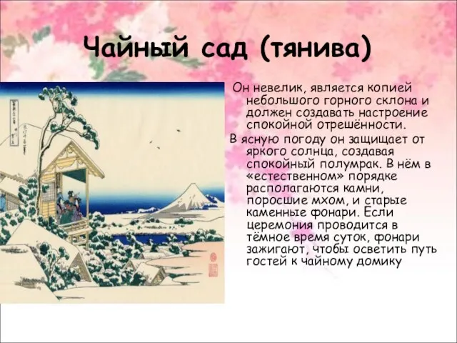 Чайный сад (тянива) Он невелик, является копией небольшого горного склона и должен