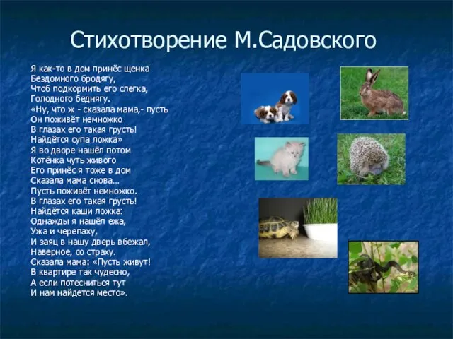 Стихотворение М.Садовского Я как-то в дом принёс щенка Бездомного бродягу, Чтоб подкормить