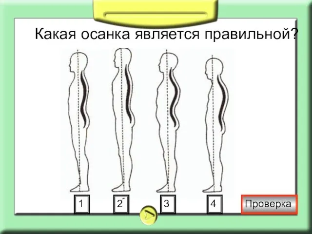 Какая осанка является правильной? 1 2 3 4 Проверка