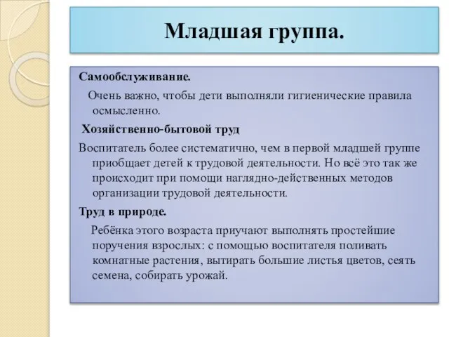 Младшая группа. Самообслуживание. Очень важно, чтобы дети выполняли гигиенические правила осмысленно. Хозяйственно-бытовой