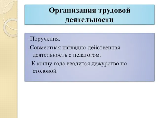 Организация трудовой деятельности -Поручения. -Совместная наглядно-действенная деятельность с педагогом. - К концу