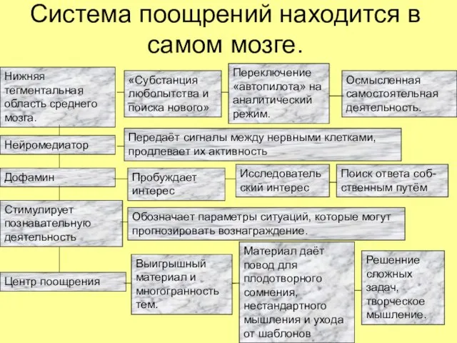 Система поощрений находится в самом мозге. Нижняя тегментальная область среднего мозга. Нейромедиатор