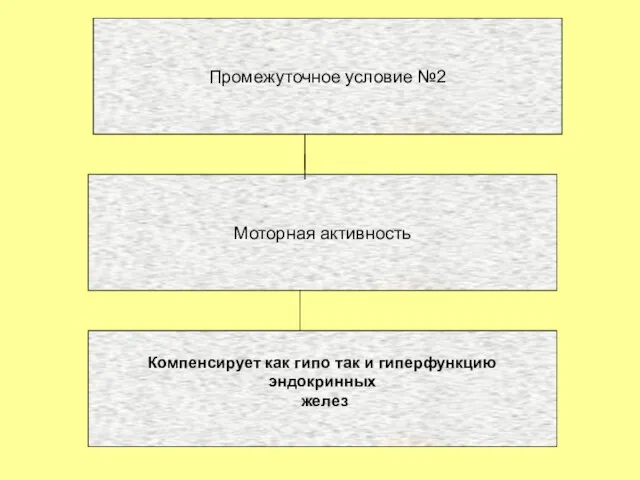 Промежуточное условие №2 Моторная активность Компенсирует как гипо так и гиперфункцию эндокринных желез