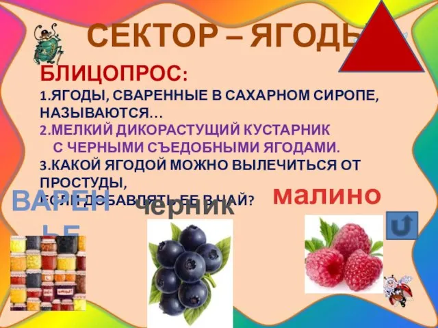 СЕКТОР – ЯГОДЫ Блицопрос: 1.ягоды, сваренные в сахарном сиропе, называются… 2.мелкий дикорастущий