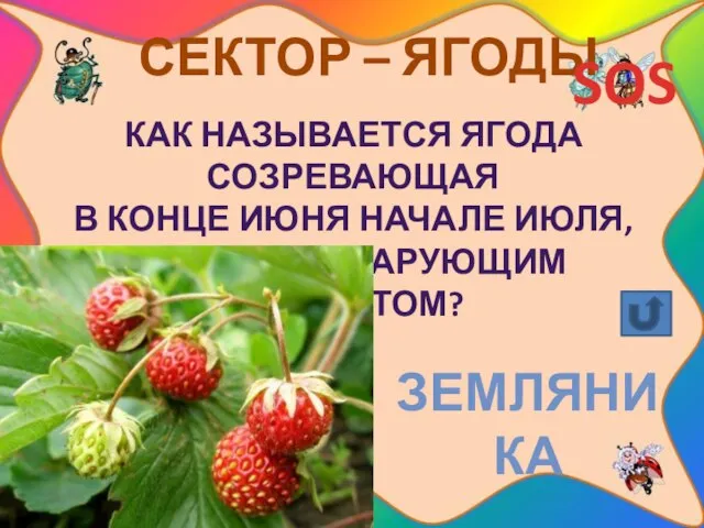 СЕКТОР – ЯГОДЫ SOS Как называется ягода созревающая В конце июня начале